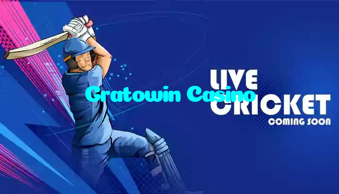 available types of Gratowin Casino bet including pre-match live express and system bets
